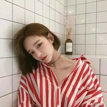 失落的守则